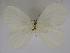  ( - AYK-07-9243)  @13 [ ] Unspecified (default): All Rights Reserved  Unspecified Unspecified