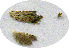  ( - UNK-93-0072)  @11 [ ] CreativeCommons - Attribution Non-Commercial Share-Alike (2012) Kim Mitter University of Maryland
