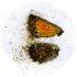  (Pseudolucia - AYK-04-0533-3)  @12 [ ] CreativeCommons - Attribution Non-Commercial No Derivatives (2009) Unspecified University of Maryland