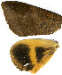  ( - AYK-04-0768-02)  @12 [ ] CreativeCommons - Attribution Non-Commercial Share-Alike (2011) Kim Mitter University of Maryland