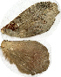  ( - AYK-04-0768-05)  @12 [ ] CreativeCommons - Attribution Non-Commercial Share-Alike (2011) Kim Mitter University of Maryland