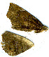  ( - AYK-04-0883-07)  @12 [ ] CreativeCommons - Attribution Non-Commercial Share-Alike (2011) Kim Mitter University of Maryland