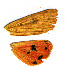  ( - AYK-04-2519)  @12 [ ] CreativeCommons - Attribution Non-Commercial No Derivatives (2009) Unspecified University of Maryland