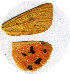  ( - AYK-04-5729)  @12 [ ] CreativeCommons - Attribution Non-Commercial No Derivatives (2009) Unspecified University of Maryland