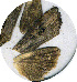  ( - NH-96-0808)  @12 [ ] CreativeCommons - Attribution Non-Commercial No Derivatives (2009) Unspecified University of Maryland