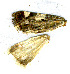  ( - JKA-97-0011)  @12 [ ] CreativeCommons - Attribution Non-Commercial No Derivatives (2009) Unspecified University of Maryland