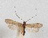  ( - ANIC30_000051)  @11 [ ] Unspecified (default): All Rights Reserved  Unspecified Unspecified