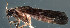  ( - EPAVT19)  @12 [ ] Unspecified (default): All Rights Reserved  Unspecified Unspecified