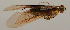  ( - JOS119)  @12 [ ] Unspecified (default): All Rights Reserved  Unspecified Unspecified