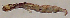  ( - JOS224)  @12 [ ] Unspecified (default): All Rights Reserved  Unspecified Unspecified