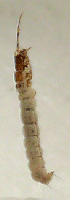  ( - JOS260)  @12 [ ] Unspecified (default): All Rights Reserved  Unspecified Unspecified