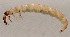  ( - JOS50)  @12 [ ] Unspecified (default): All Rights Reserved  Unspecified Unspecified