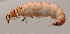  ( - JOS59)  @12 [ ] Unspecified (default): All Rights Reserved  Unspecified Unspecified
