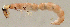  ( - JOS69)  @12 [ ] Unspecified (default): All Rights Reserved  Unspecified Unspecified