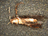  ( - MS1502)  @13 [ ] Unspecified (default): All Rights Reserved  Unspecified Unspecified