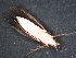  ( - DC 153)  @11 [ ] Unspecified (default): All Rights Reserved  Unspecified Unspecified