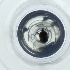  ( - LUHW_005_C7)  @11 [ ] by  Genome Research Ltd as Wellcome Sanger Institute Genome Research Limited operating as Wellcome Sanger Institute