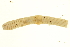  ( - CE5177)  @13 [ ] CreativeCommons - Attribution (2010) CBG Photography Group Centre for Biodiversity Genomics