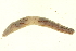  ( - CE6254)  @13 [ ] CreativeCommons - Attribution (2010) Unspecified Centre for Biodiversity Genomics