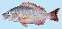  ( - MFSCU5035)  @11 [ ] Copyright (c) (2023) Mohammad Eusuf Hasan Institute of Marine Sciences, University of Chittagong