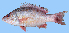  ( - MFSCU5036)  @11 [ ] Copyright (c) (2023) Mohammad Eusuf Hasan Institute of Marine Sciences, University of Chittagong