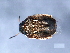  ( - 10PROBE-20880)  @12 [ ] CreativeCommons - Attribution (2010) CBG Photography Group Centre for Biodiversity Genomics