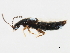  ( - BIOUG00676-H01)  @12 [ ] CreativeCommons - Attribution (2011) CBG Photography Group Centre for Biodiversity Genomics
