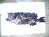  ( - CNP_Aca_pat01_Fra3)  @11 [ ] CreativeCommons - Attribution Non-Commercial (2012) Lujan Villanueva-Gomila CESIMAR-CONICET