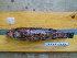  ( - CNP Pinbra06 PE1)  @11 [ ] CreativeCommons - Attribution Non-Commercial (2013) Lujan Villanueva-Gomila CESIMAR-CONICET