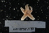 ( - BQ1_As11)  @11 [ ] Unspecified (default): All Rights Reserved  Unspecified Unspecified