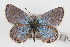  ( - CSU-CPG-LEP-0582)  @11 [ ] CreativeCommons - Attribution (2009) Unspecified Unspecified