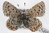  ( - CSU-CPG-LEP-0585)  @11 [ ] CreativeCommons - Attribution (2009) Unspecified Unspecified