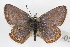  ( - CSU-CPG-LEP-0594)  @11 [ ] CreativeCommons - Attribution (2009) Unspecified Unspecified