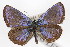  ( - CSU-CPG-LEP-0650)  @13 [ ] CreativeCommons - Attribution (2009) Unspecified Unspecified