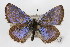  ( - CSU-CPG-LEP-0653)  @13 [ ] CreativeCommons - Attribution (2009) Unspecified Unspecified