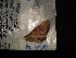  ( - MAL-04519)  @12 [ ] Unspecified (default): All Rights Reserved  Unspecified Unspecified