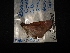 ( - MAL-04520)  @12 [ ] Unspecified (default): All Rights Reserved  Unspecified Unspecified