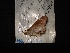  ( - MAL-04523)  @12 [ ] Unspecified (default): All Rights Reserved  Unspecified Unspecified
