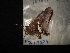  ( - MAL-04529)  @12 [ ] Unspecified (default): All Rights Reserved  Unspecified Unspecified