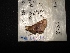  ( - MAL-04655)  @13 [ ] Unspecified (default): All Rights Reserved  Unspecified Unspecified