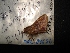  ( - MAL-04656)  @11 [ ] Unspecified (default): All Rights Reserved  Unspecified Unspecified