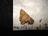  ( - MAL-04669)  @12 [ ] Unspecified (default): All Rights Reserved  Unspecified Unspecified