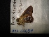  ( - MAL-04689)  @12 [ ] Unspecified (default): All Rights Reserved  Unspecified Unspecified