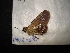  ( - MAL-04690)  @12 [ ] Unspecified (default): All Rights Reserved  Unspecified Unspecified