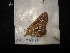  ( - MAL-04691)  @12 [ ] Unspecified (default): All Rights Reserved  Unspecified Unspecified