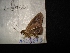  ( - MAL-04693)  @12 [ ] Unspecified (default): All Rights Reserved  Unspecified Unspecified