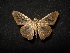  ( - MAL-04694)  @12 [ ] Unspecified (default): All Rights Reserved  Unspecified Unspecified