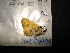  ( - MAL-04709)  @12 [ ] Unspecified (default): All Rights Reserved  Unspecified Unspecified