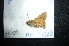  ( - MAL-04863)  @12 [ ] Unspecified (default): All Rights Reserved  Unspecified Unspecified