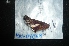 ( - MAL-04868)  @12 [ ] Unspecified (default): All Rights Reserved  Unspecified Unspecified